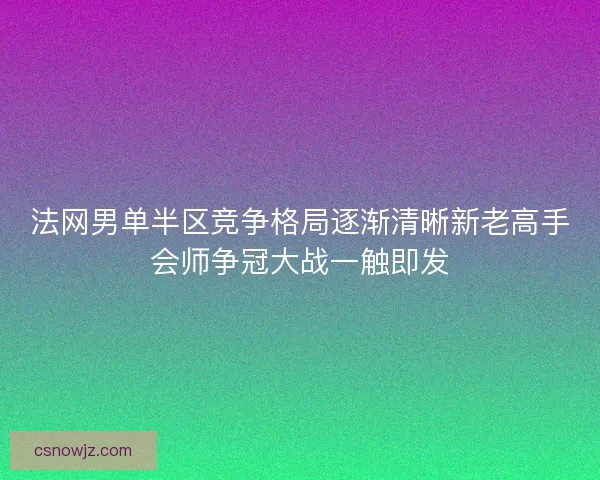 法网男单半区竞争格局逐渐清晰新老高手会师争冠大战一触即发