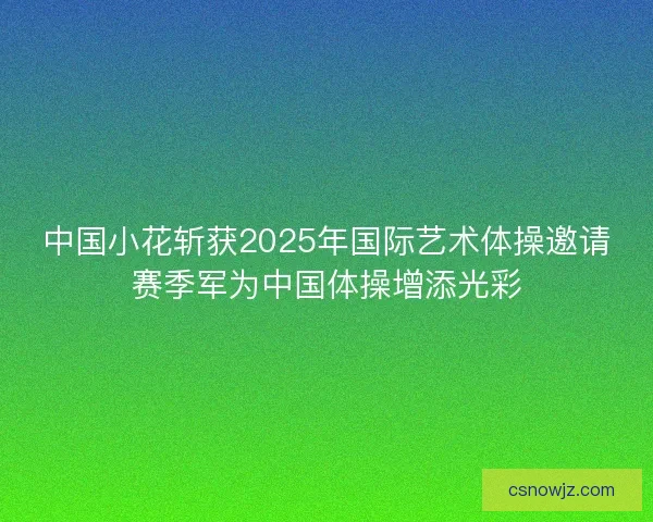 中国小花斩获2025年国际艺术体操邀请赛季军为中国体操增添光彩
